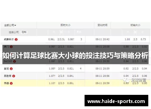 如何计算足球比赛大小球的投注技巧与策略分析